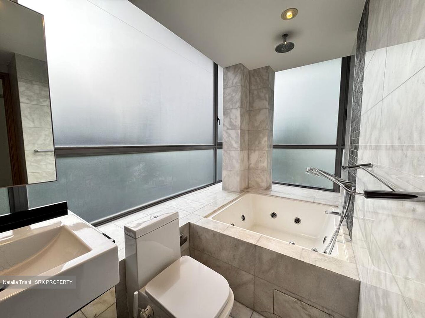 Angullia Park Residences @ Orchard (D10), Apartment #498097071